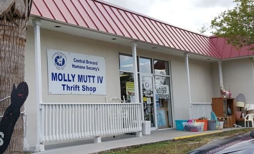 Molly Mutt IV Thrift Shop business photo