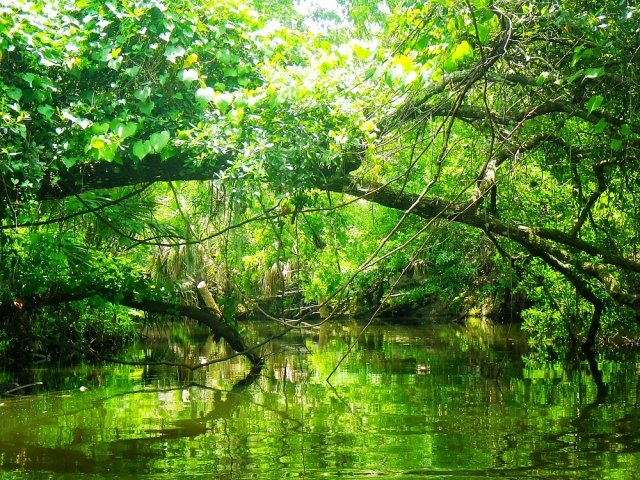 Turkey Creek Sanctuary business photo