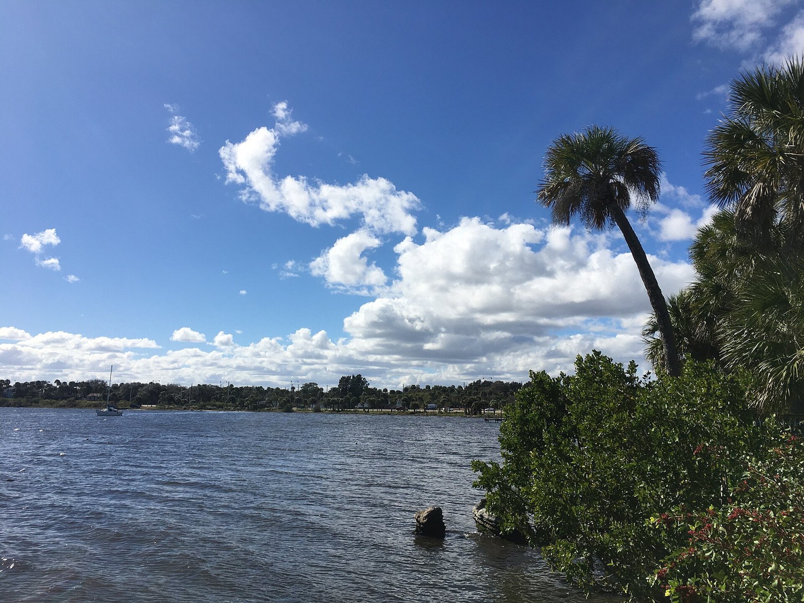 Palm Bay city view