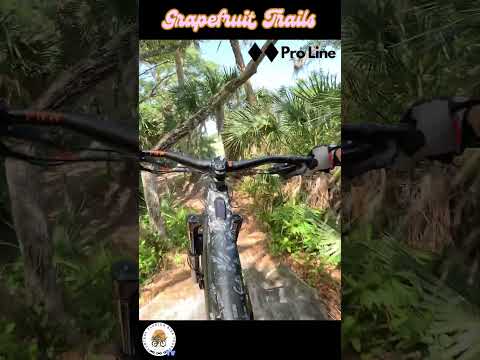 Pro Line at Grapefruit Trails, Palm Bay, Florida - video thumbnail