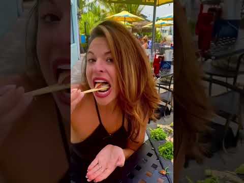 Restaurant Highlight: Lazy Turtle Riverfront Grill & Tiki Bar in Palm Bay video thumbnail